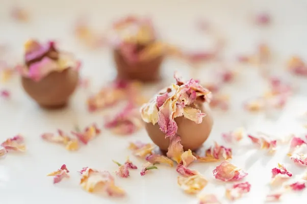 קזינו רוקט סלוטס אפליקציית Android/iOS